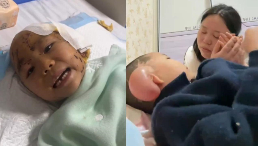 林俊杰想見你殺回來了,新奧門資料大全管家婆,決策資料解釋落實_云端版V12.99